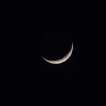 image_593.jpg