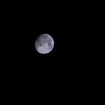 image_794.jpg