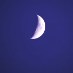 image_856.jpg